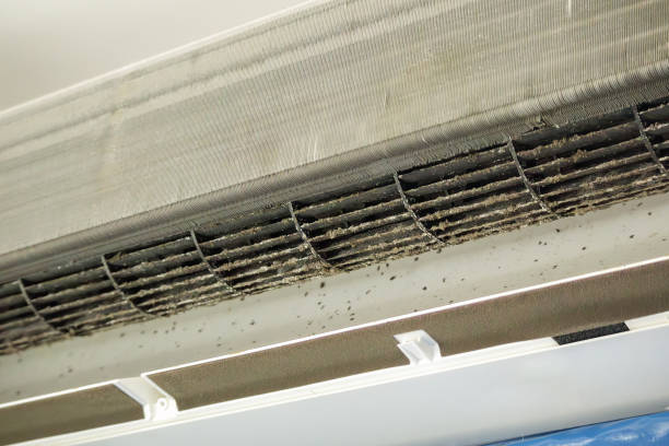 Best Commercial Air Duct Cleaning  in Ellport, PA